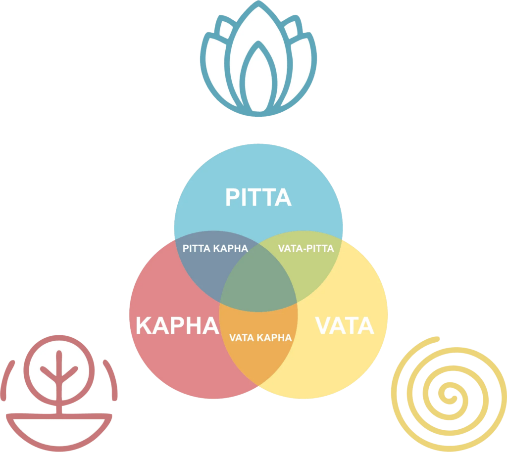 Dosha Pitta Vata Kapha